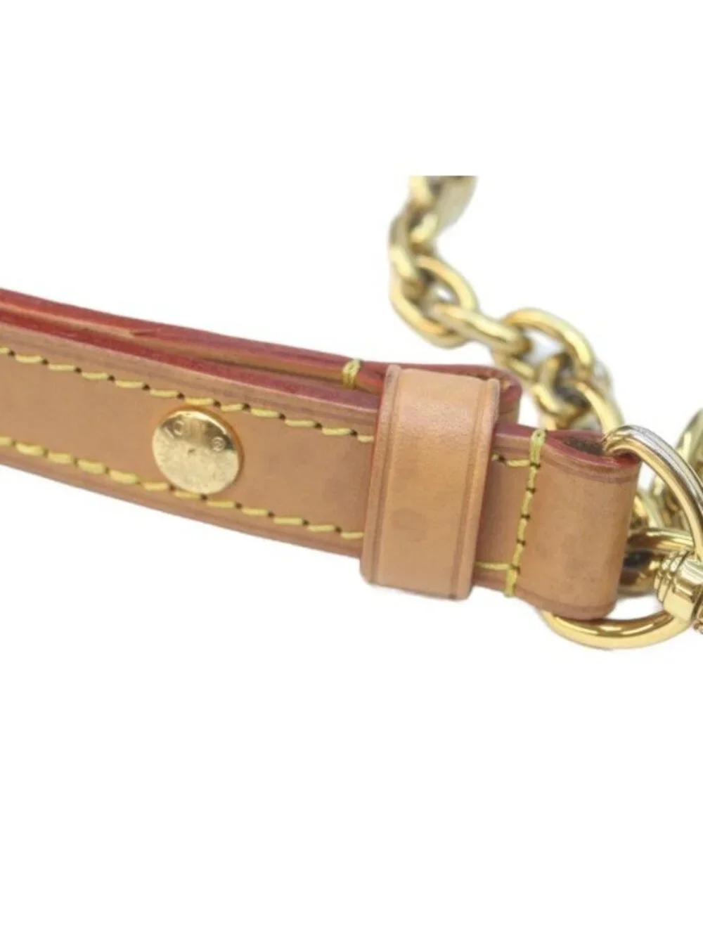 Louis Vuitton Monogram Loop Shoulder Bag
